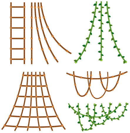 Set of rope and vine illustrationのイラスト素材