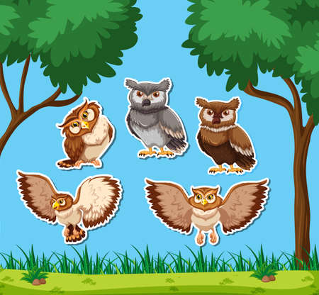 Set of owl sticker illustrationのイラスト素材