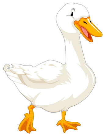 Goose on white background illustrationのイラスト素材