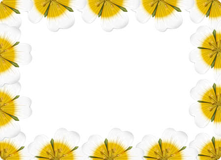 Yellow flower nature frame illustrationのイラスト素材