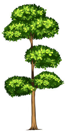 Tall tree white  illustrationのイラスト素材