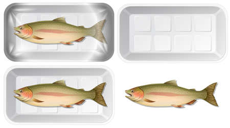 Set of fish in packaging illustrationのイラスト素材