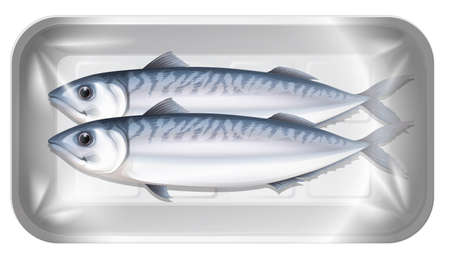 Mackerel in the package illustrationのイラスト素材