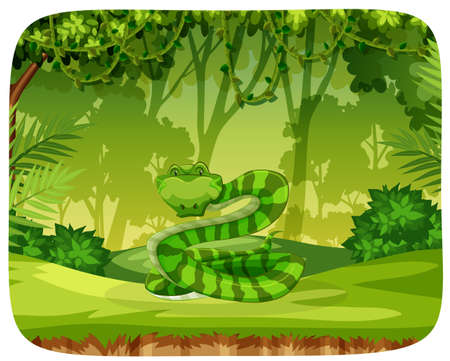 A snake in jungle illustrationのイラスト素材