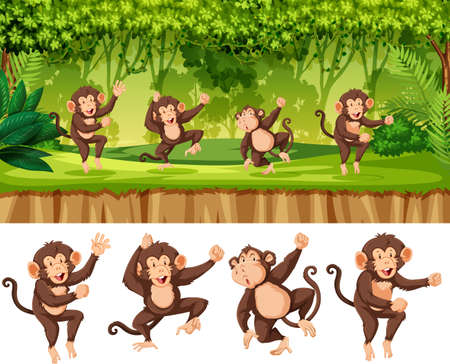 Group of monkey in forest illustrationのイラスト素材
