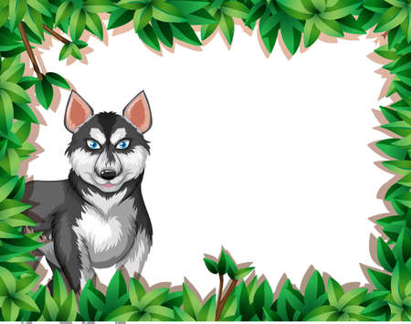 A husky on nature frame illustrationのイラスト素材