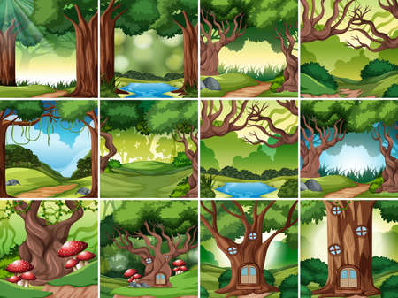 Set of rainforest scene illustrationのイラスト素材