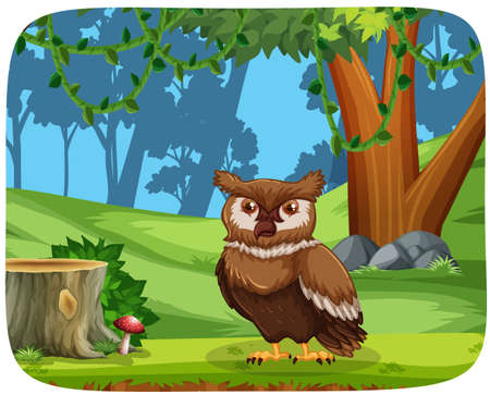 Owl in wood scene illustrationのイラスト素材