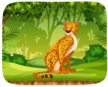 Cheetah in jungle scene illustrationのイラスト素材