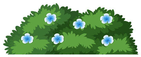 Isolated flower bush on white background illustrationのイラスト素材