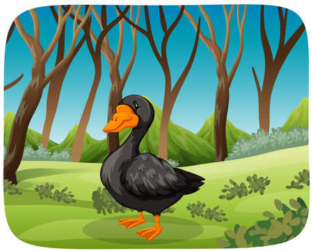 A black swan in nature background illustrationのイラスト素材