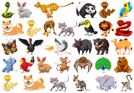 large set of animals illustrationのイラスト素材