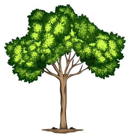 A tree design on white background illustrationのイラスト素材