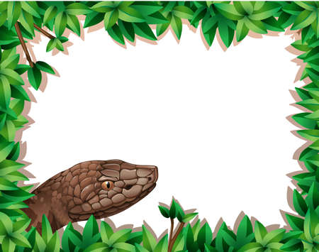 Snake on nature border illustrationのイラスト素材