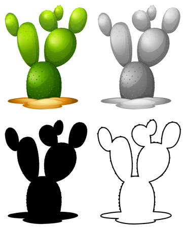 Set of nature cactus  illustrationのイラスト素材