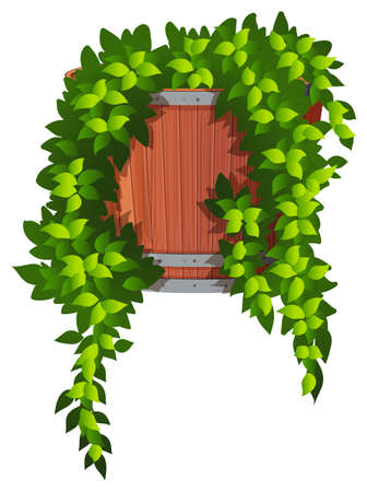 Vine in the plant potのイラスト素材