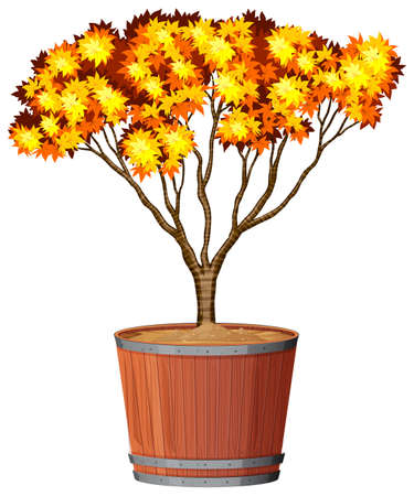 Tree in pot plant illustrationのイラスト素材