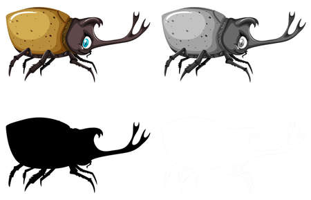 Set of different styled beetles illustrationのイラスト素材