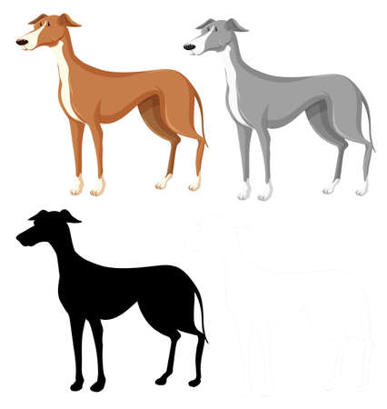 Silhouette, color and outline version illustrationのイラスト素材