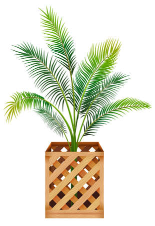 Plant in pot with soil isolated illustrationのイラスト素材
