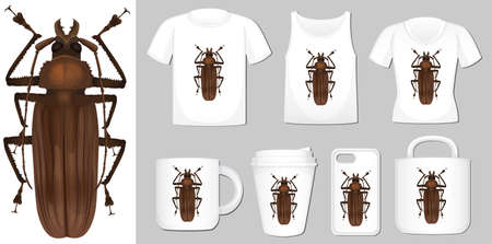 Graphic of beetle on different types of product template illustrationのイラスト素材