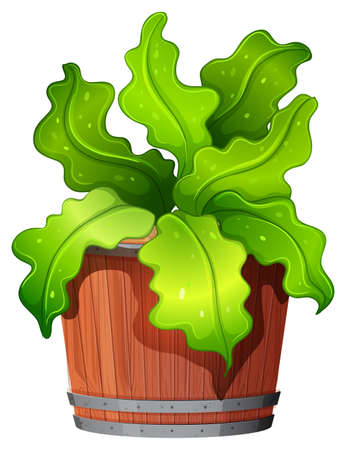 Pot plant with green leaves on an isolated white background illustrationのイラスト素材