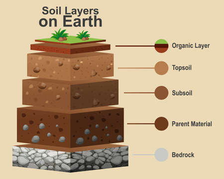 Diagram showing different layers of soil illustrationのイラスト素材