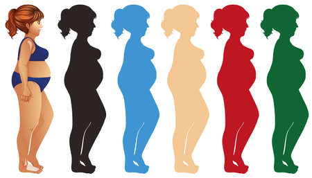 Fat woman and silhouette in different color illustrationのイラスト素材
