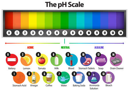 The pH scale on white background illustration