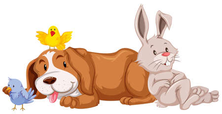 Different types of pet on white background illustration