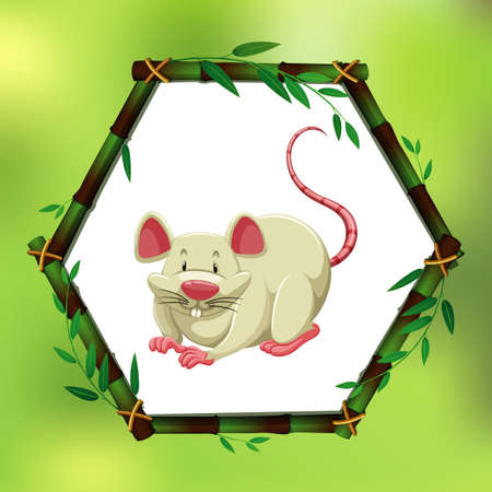 Bamboo frame with white rat illustrationのイラスト素材