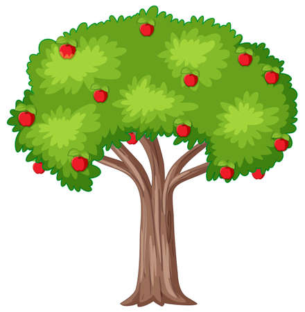Apple tree on white background illustrationのイラスト素材