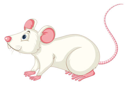 White rat on white background illustrationのイラスト素材