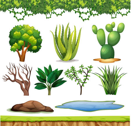 Set of small plants with no flowers on white background illustrationのイラスト素材