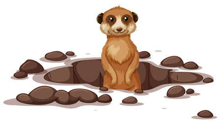 Meerkat coming out on the ground illustrationのイラスト素材
