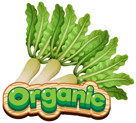 Font design for word organic with fresh vegetable illustrationのイラスト素材