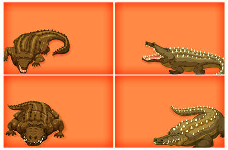 Background template design with plain color and crocodile illustrationのイラスト素材