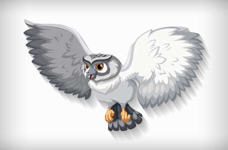 Gray owl flying on white background illustrationのイラスト素材