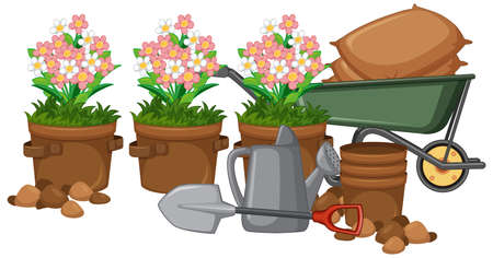Beautiful flower in clay pots on white background illustrationのイラスト素材