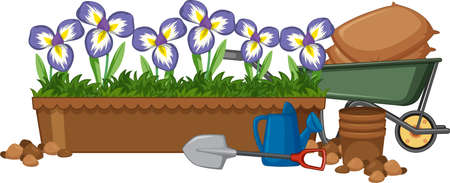 Beautiful iris flowers in the garden on white background illustrationのイラスト素材