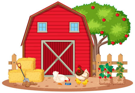 Scene with chickens and vegetables on the farm illustrationのイラスト素材