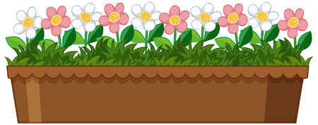 Beautiful flowers in the garden on white background illustrationのイラスト素材