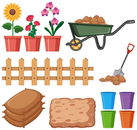 Beautiful flowers in the garden on white background illustrationのイラスト素材