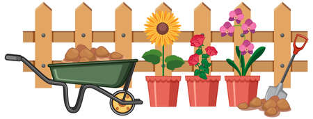 Beautiful flowers in garden on white background illustrationのイラスト素材