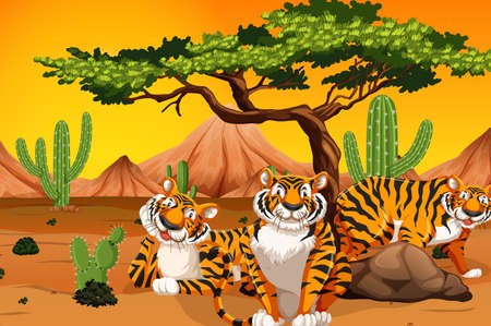 Tiger at the desert illustrationのイラスト素材