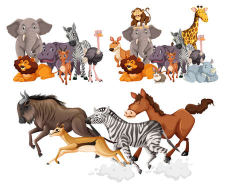 Wild animals group cartoon style isolated on white background illustrationのイラスト素材