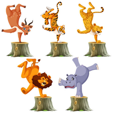 Set of wild animal standing on one hand illustrationのイラスト素材