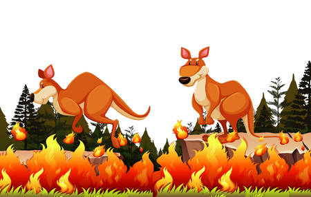 Kangaroo escape the bushfire illustrationのイラスト素材