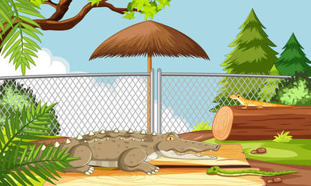 Alligator in the zoo scene illustrationのイラスト素材