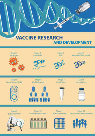 Vaccine research and development infographic illustrationのイラスト素材
